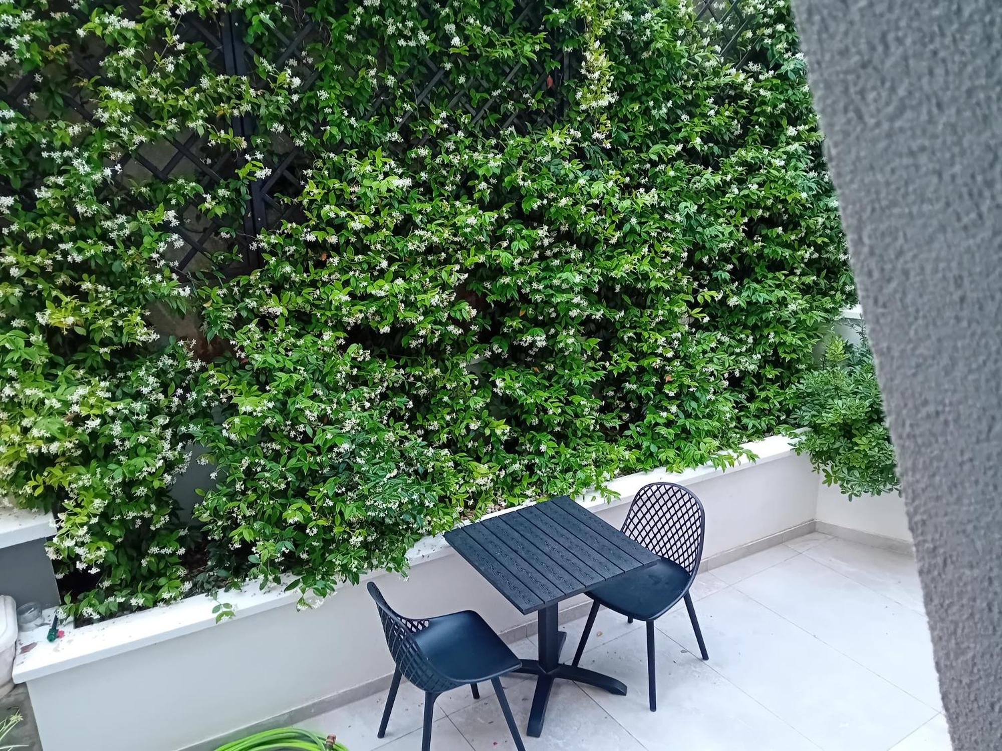 זאדאר Maboka Studio מראה חיצוני תמונה